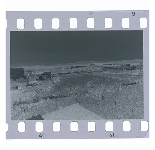 Canosa di Puglia, paesaggio (negativo) di anonimo (XX)