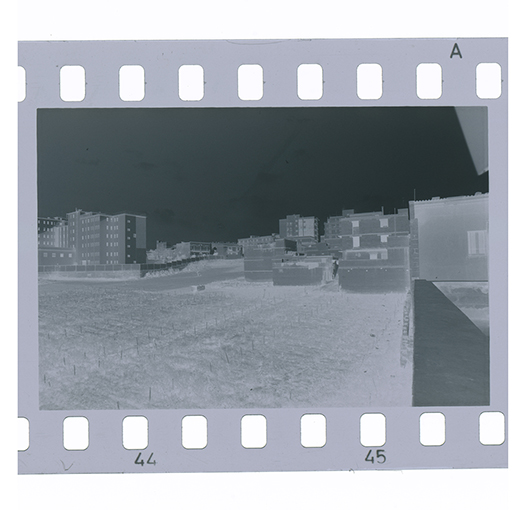 Canosa di Puglia, veduta (negativo) di anonimo (XX)