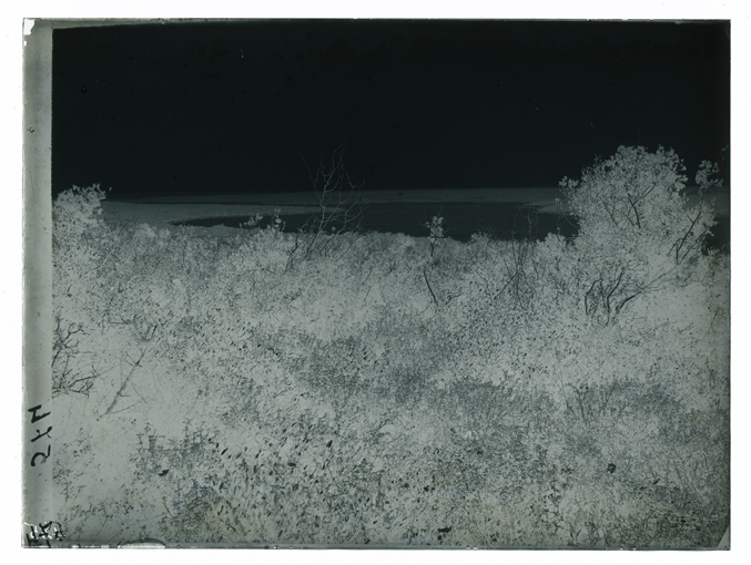 Laghi Alimini - Panorama (negativo) di Palumbo, Giuseppe (XX)