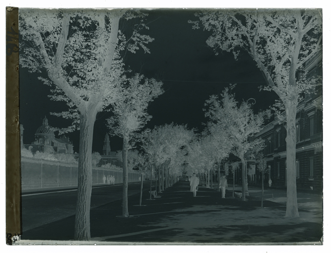 Lecce - Viale della stazione (negativo) di Palumbo, Giuseppe (XX)