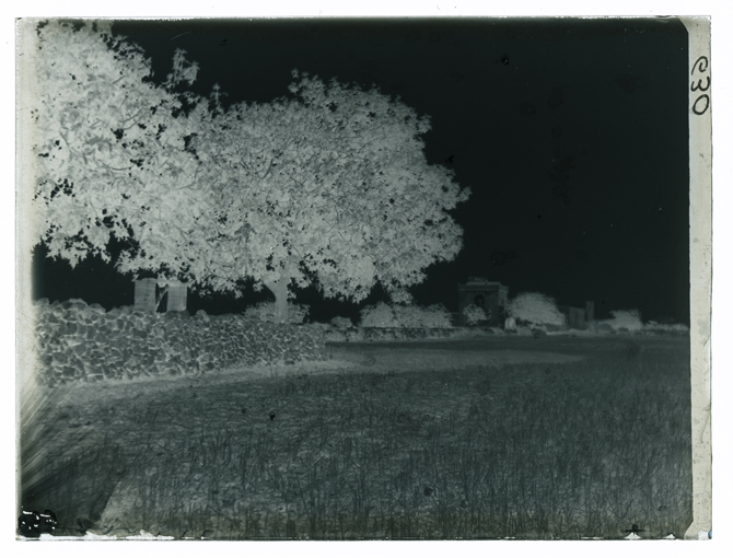 Provincia di Lecce - Paesaggio (negativo) di Palumbo, Giuseppe (XX)