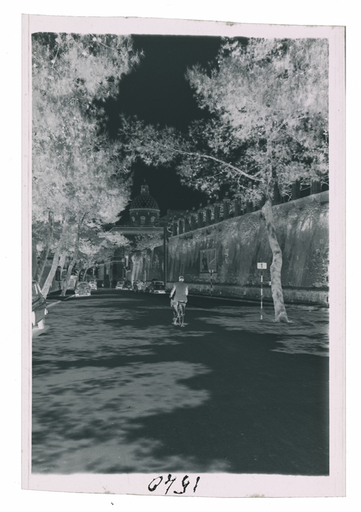 Lecce - Veduta di via Duca degli Abruzzi (negativo) di Palumbo, Giuseppe (XX)