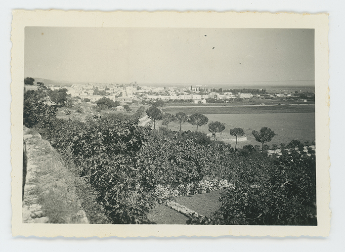 Alessano - Veduta panoramica (positivo) di Palumbo, Giuseppe (XX)