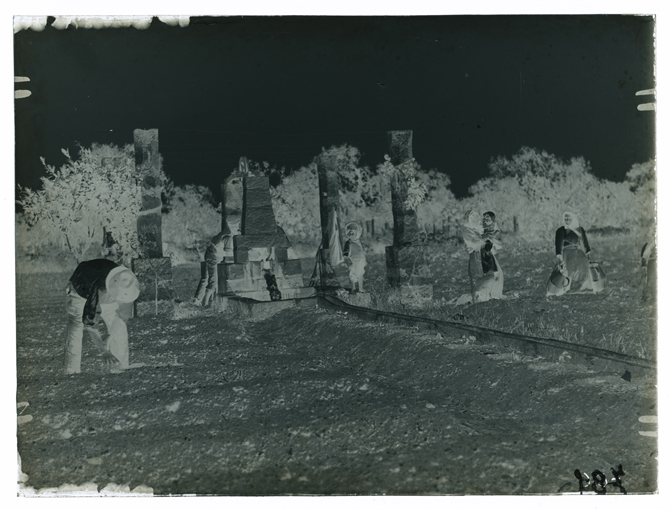 Paesaggio pugliese - Coltivazione patate (negativo) di Palumbo, Giuseppe (XX)