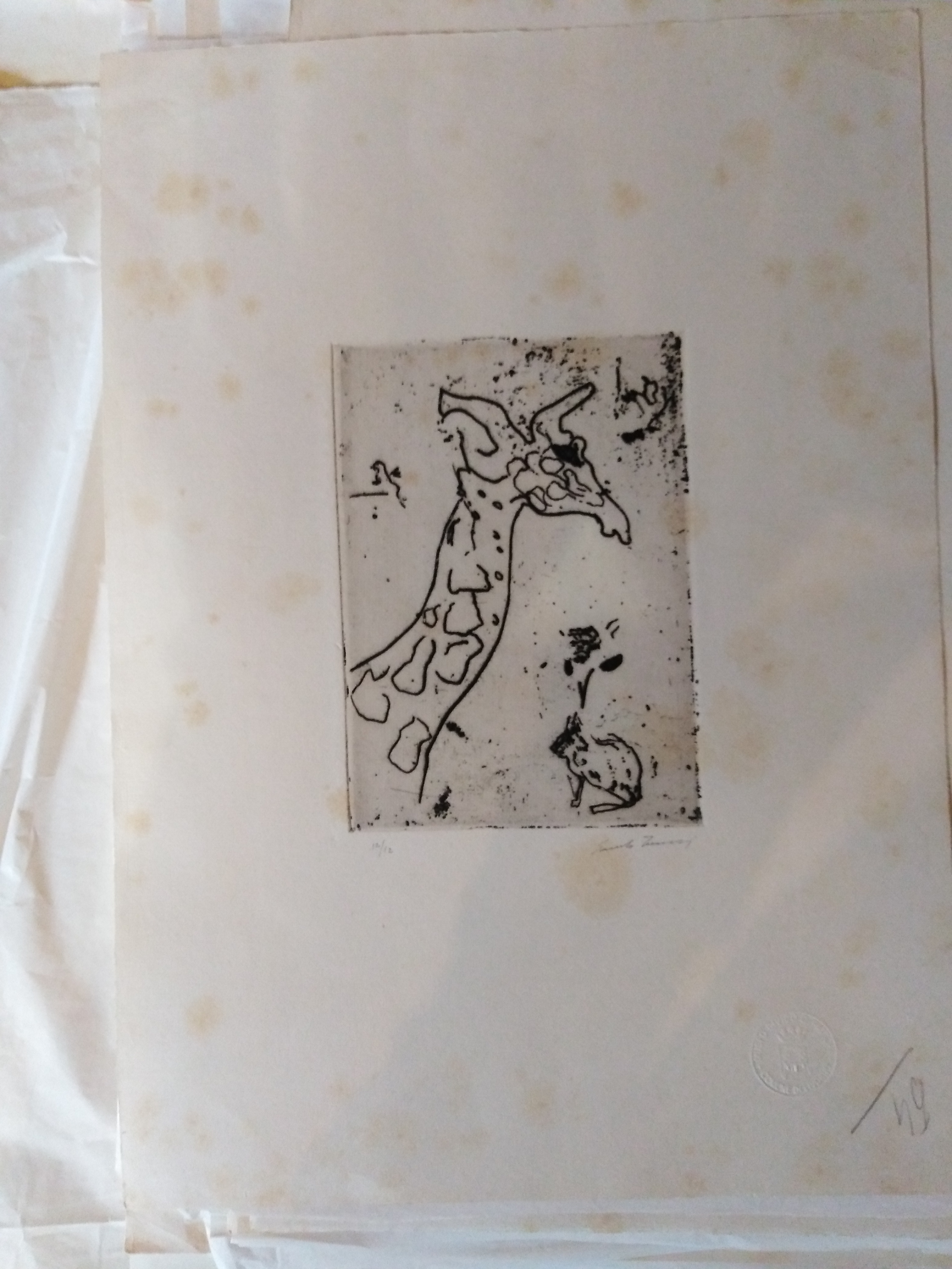 giraffa e lepre (stampa) di Treccani Ernesto (XX)