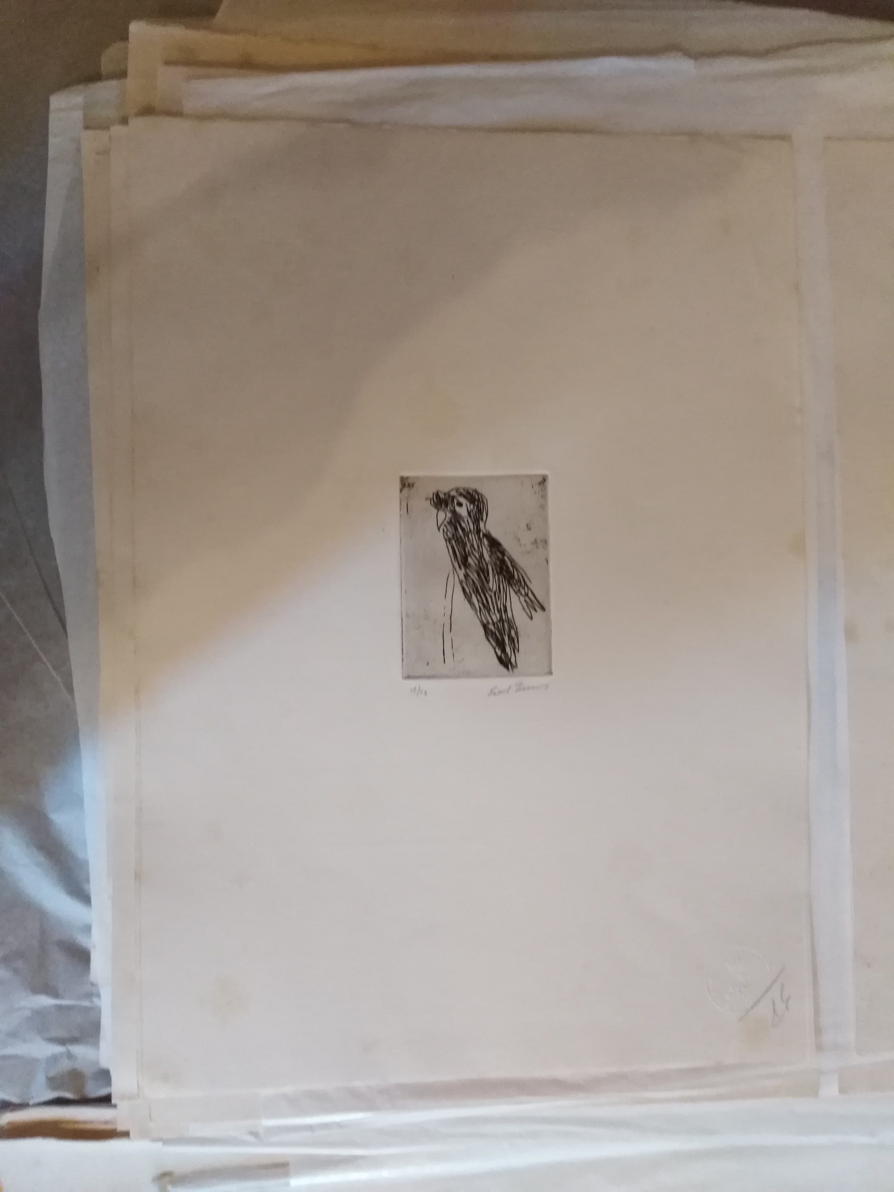 Pappagallo nero n. 2, pappagallo (stampa) di Treccani Ernesto (XX)