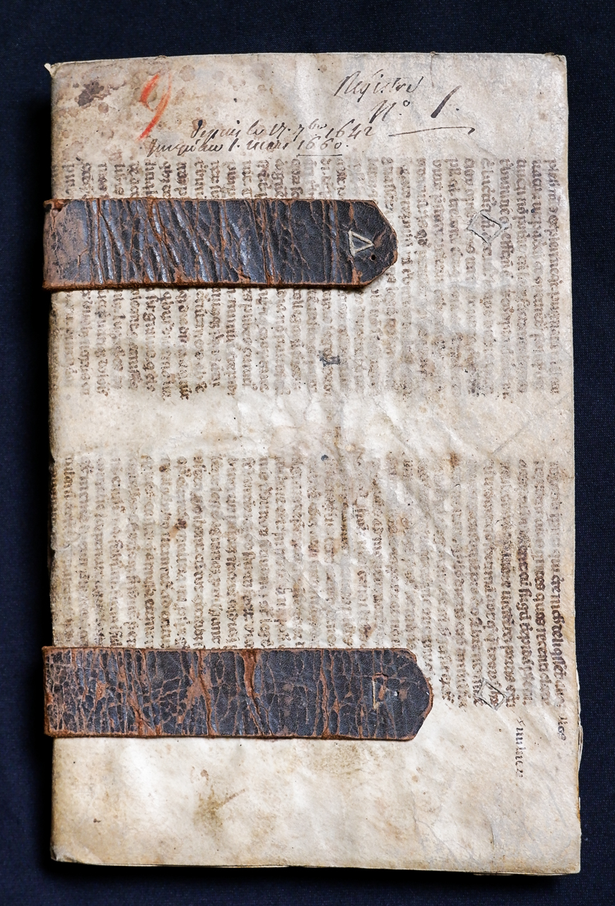 legatura piena, opera isolata - ambito italiano (metà XVII)