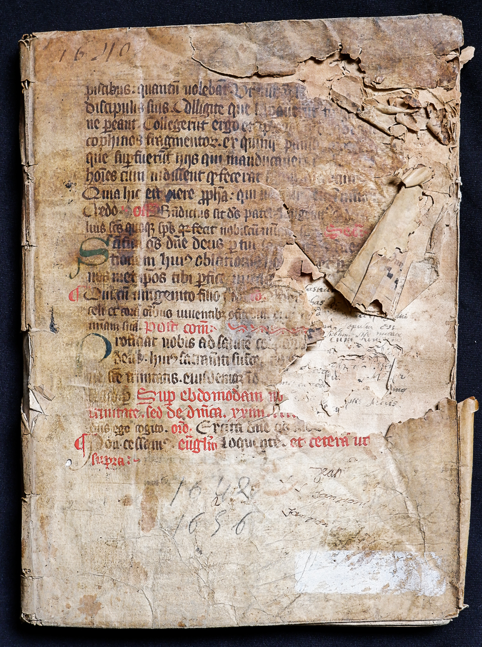 legatura piena, opera isolata - ambito italiano (metà XVII)