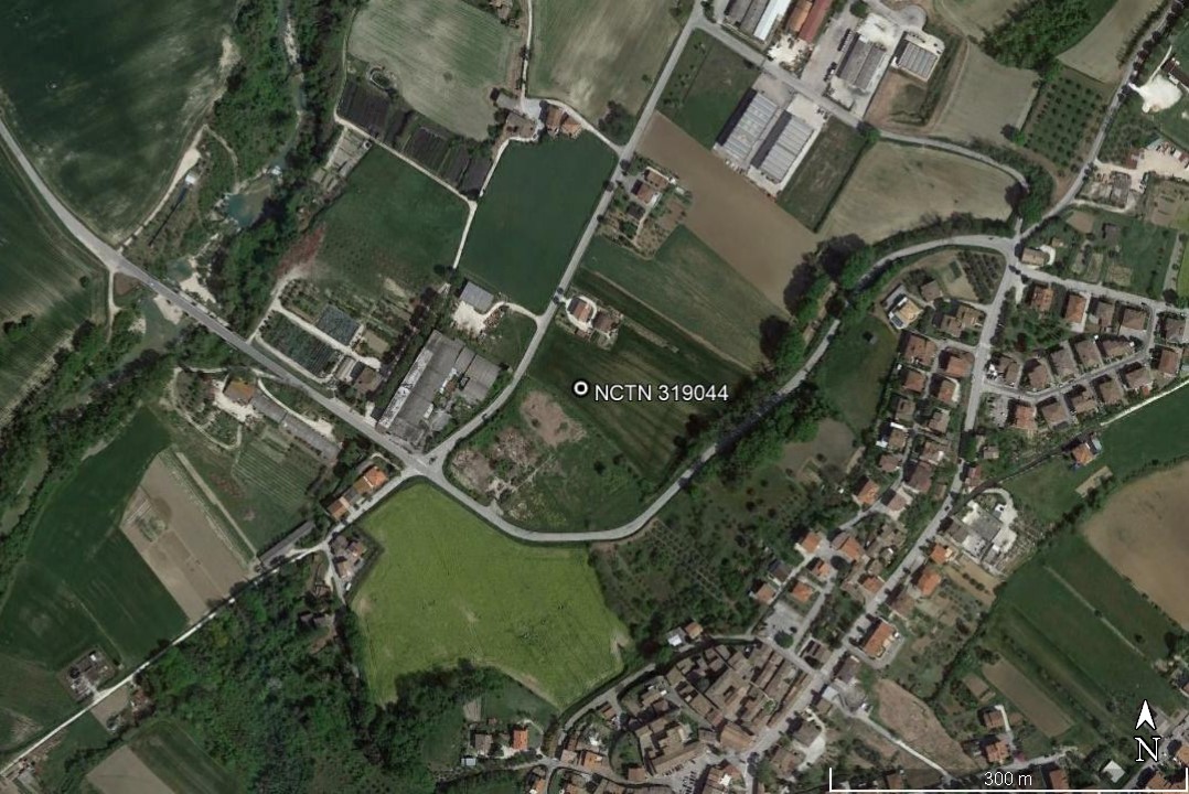 area di materiale mobile, area di frammenti fittili e materiali da costruzione - Castelleone di Suasa (AN)  (PERIODIZZAZIONI/ STORIA/ Età antica/ Età romana/ Età romana imperiale)