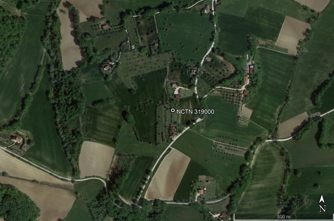 area di materiale mobile, area di frammenti fittili e materiali da costruzione - Castelleone di Suasa (AN)  (PERIODIZZAZIONI/ STORIA/ Età antica/ Età romana/ Età romana imperiale)