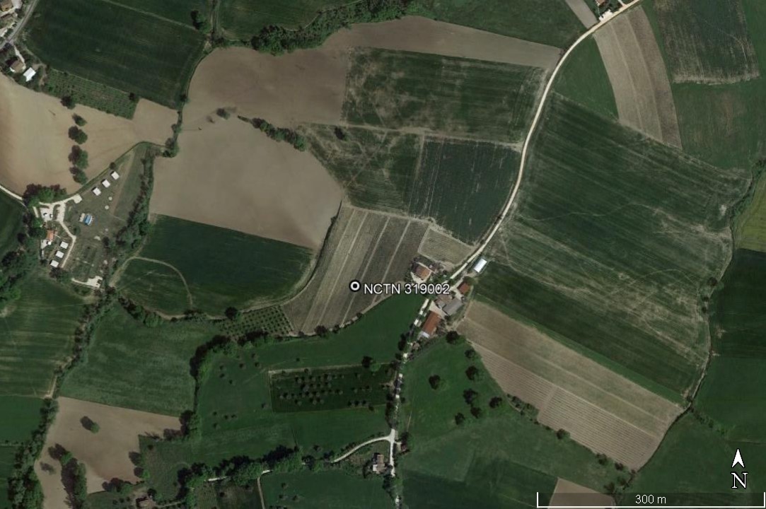 area di materiale mobile, area di frammenti fittili e materiali da costruzione - Castelleone di Suasa (AN)  (PERIODIZZAZIONI/ ARCHI DI PERIODI/ Età del Bronzo-Età romana imperiale)