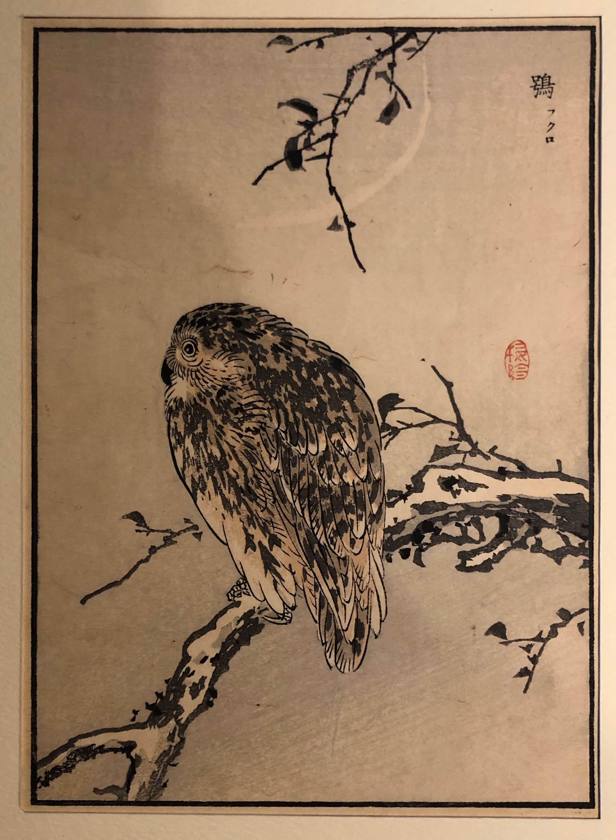 Aquila (stampa) di Bairei Kono - ambito giapponese (sec. XIX)