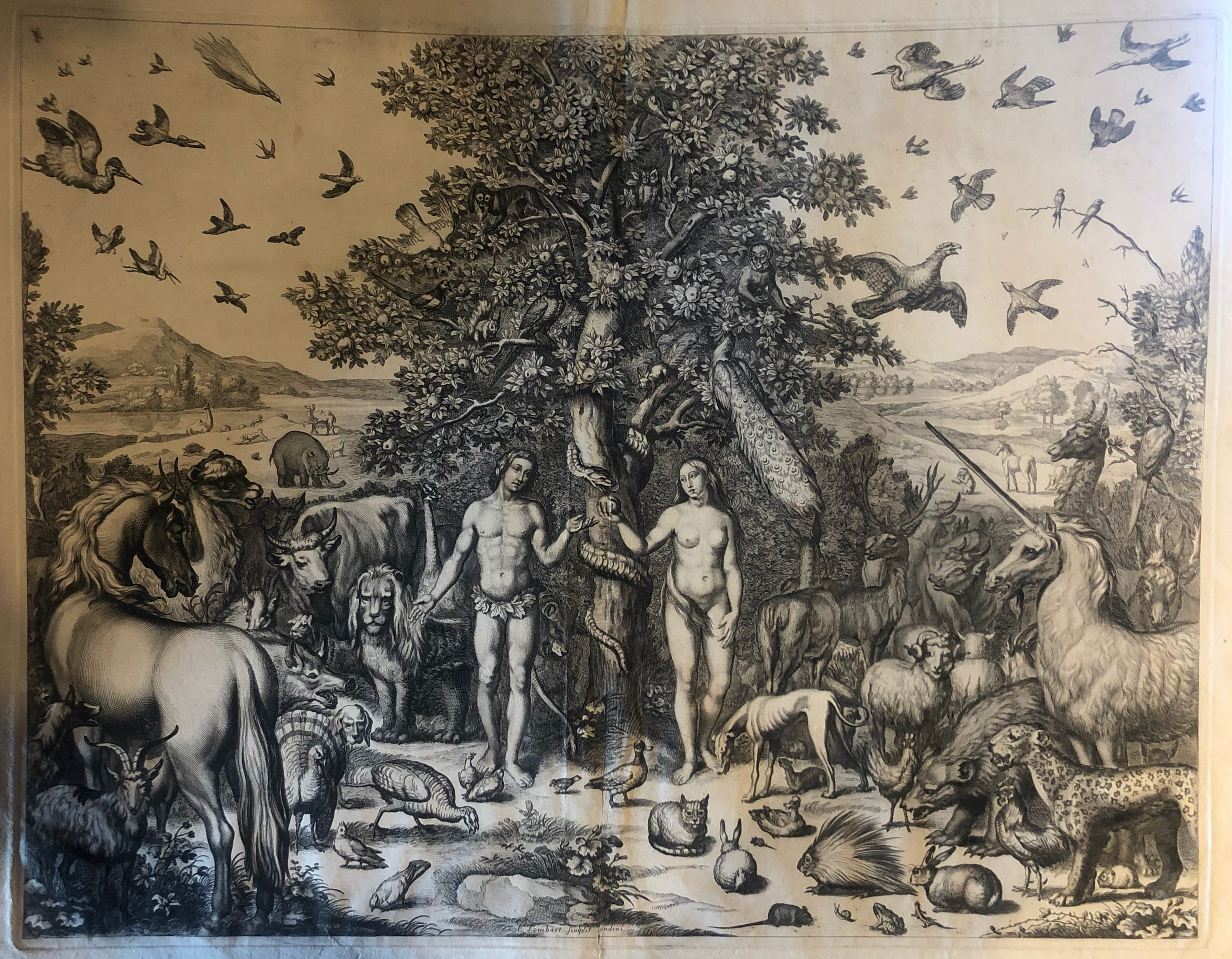 Adamo ed Eva nel Paradiso terrestre (stampa) di Lombart Pierre - ambito inglese (sec. XVII)