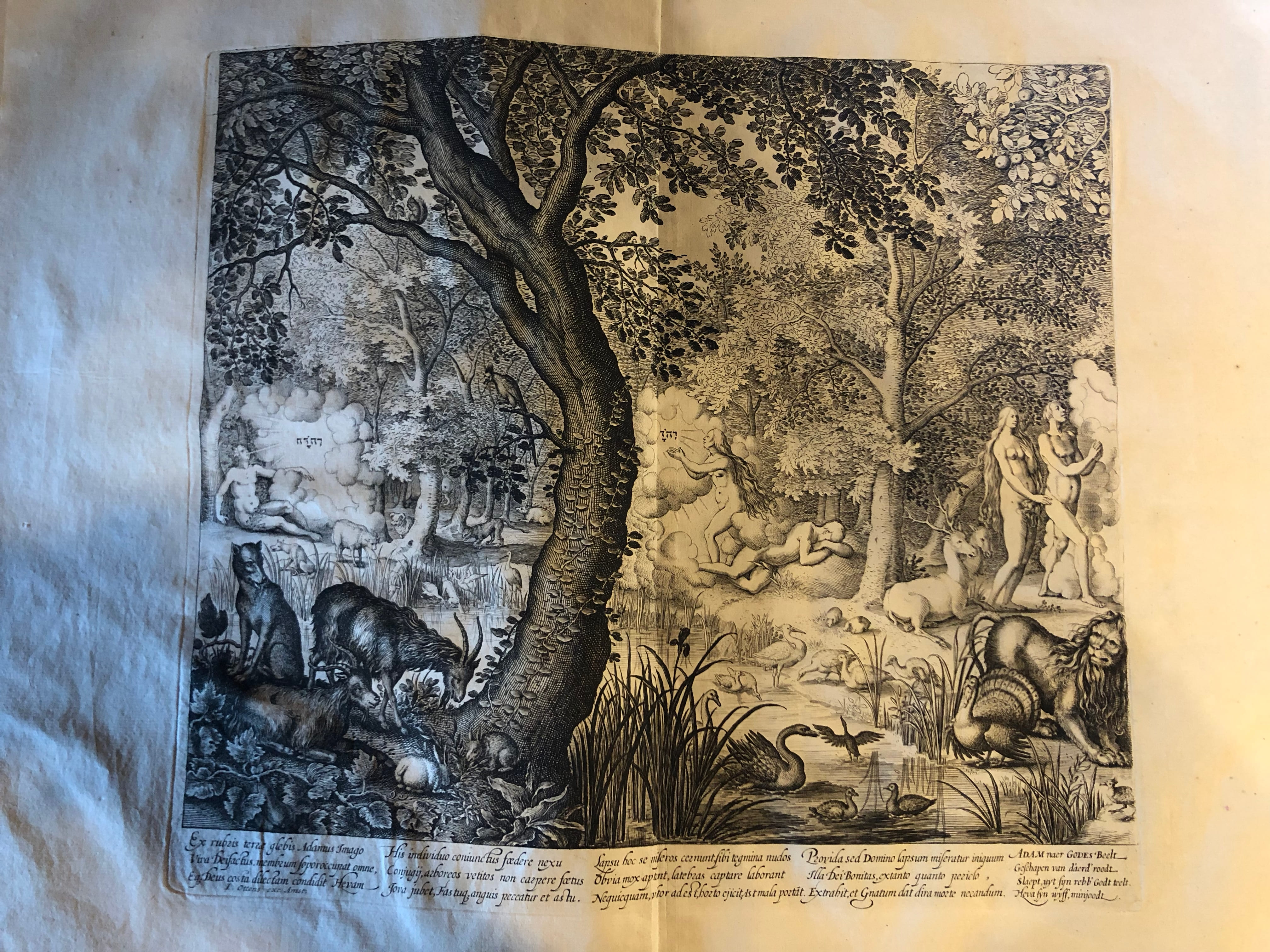 Adamo ed Eva nel Paradis terrestre (stampa) - ambito olandese (sec. XVII)