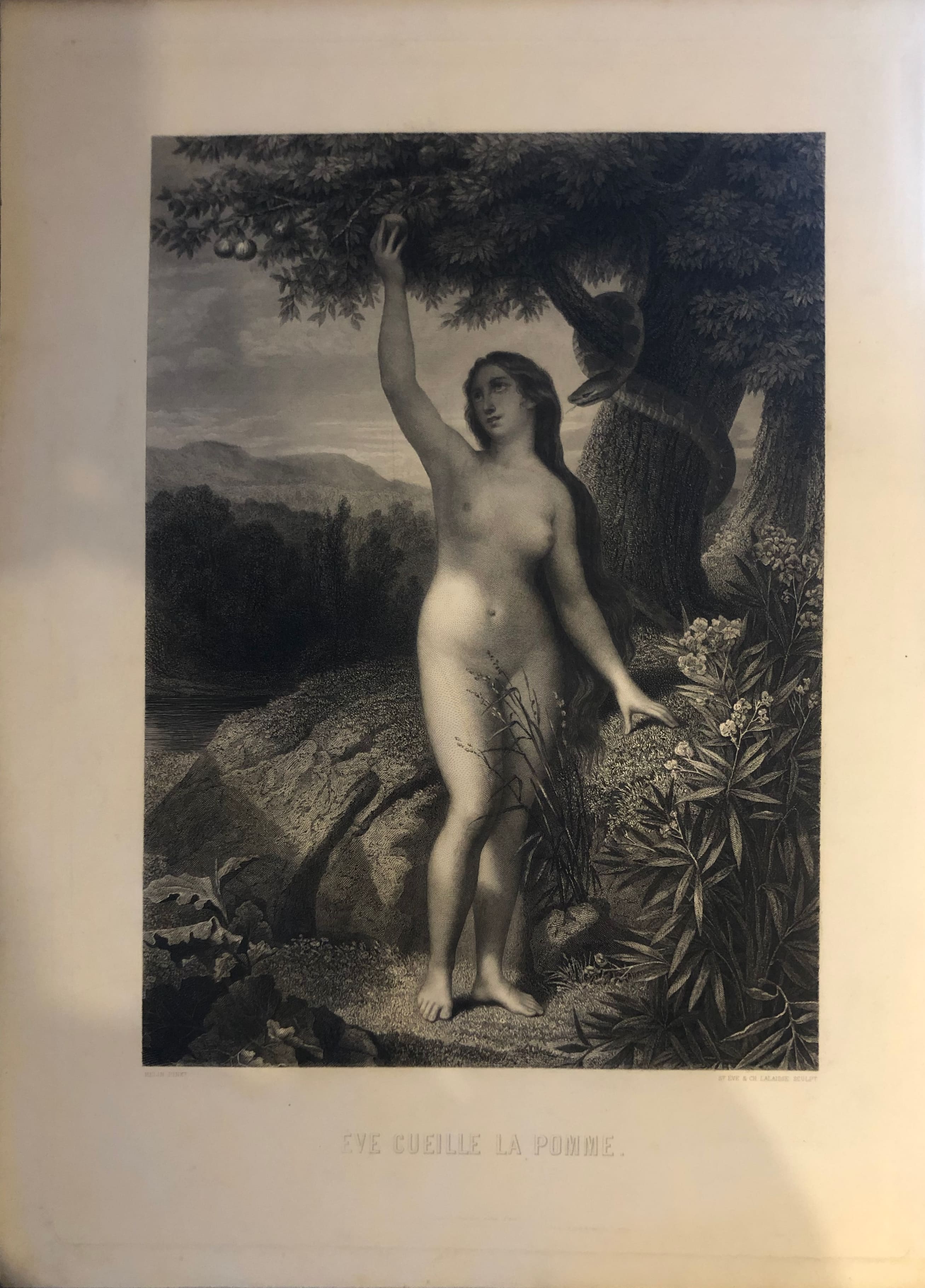 Eve cueille la pomme, Eva raccoglie la mela (stampa) di Saint-Éve Jean Marie (sec. XIX)