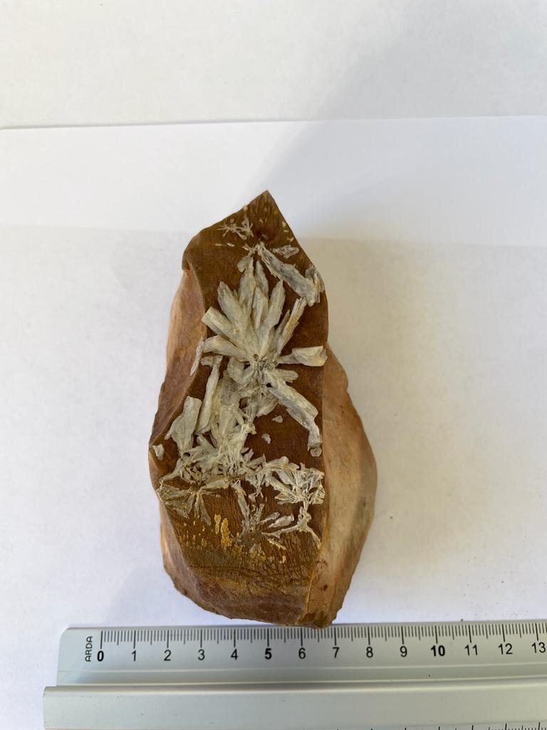 Barite stronzianifera (baritocelestina)