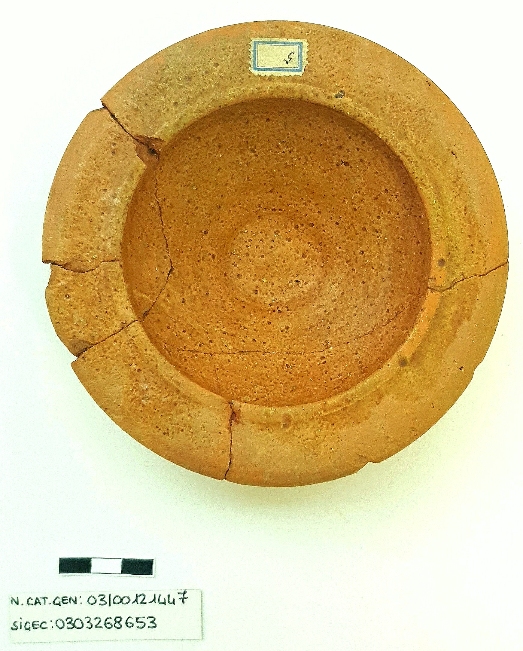 ciotola, ciotola in ceramica invetriata - Ambito romano tardo-imperiale (SECOLI/ IV)