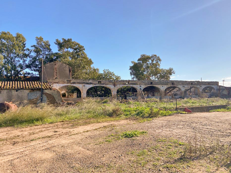 Casa vanini (azienda agricola)