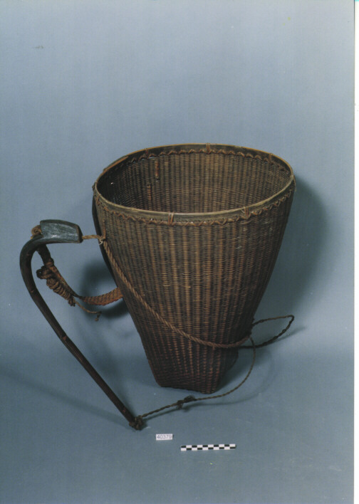 GERLA - CARIN SUCCU'