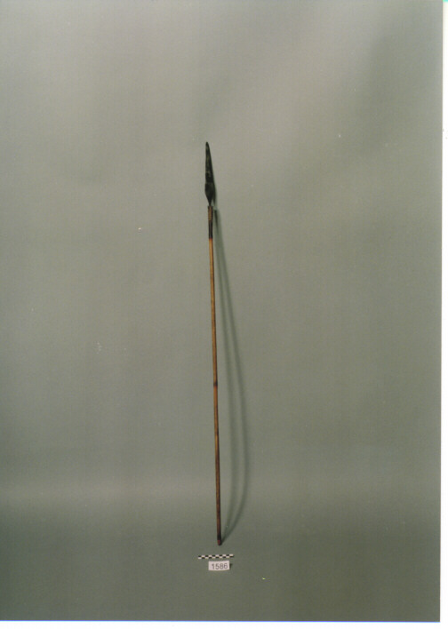 LANCIA - DAYAK (SEC. XIX)