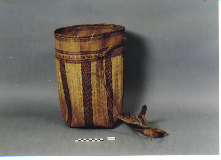 SACCA - DAYAK (SEC. XIX)