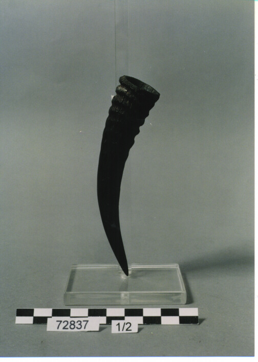 ASTUCCIO CON TAPPO - BATAK