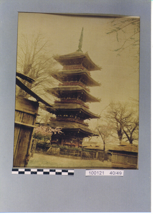 STAMPA FOTOGRAFICA di BEATO FELICE (SEC. XIX)