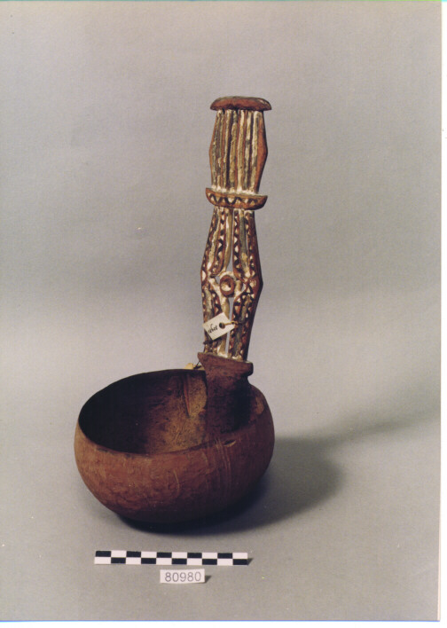 CIOTOLA - DAYAK-IBAN