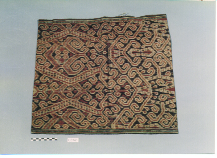 GONNELLINO - DAYAK-IBAN