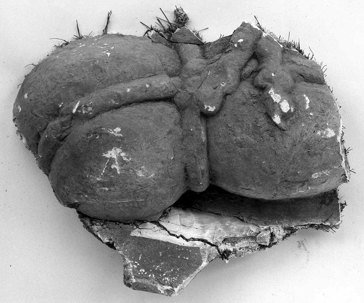 torsello (rilievo, frammento) - ambito fiorentino (secc. XIX/ XX)