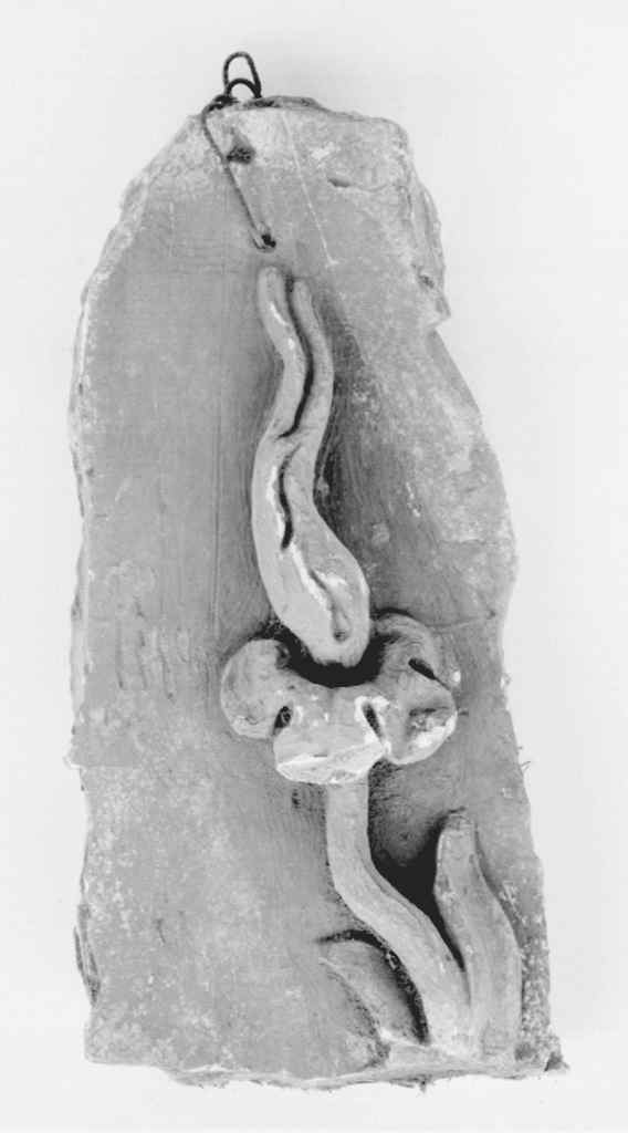 motivo decorativo floreale (rilievo, frammento) - manifattura fiorentina (secc. XIX/ XX)