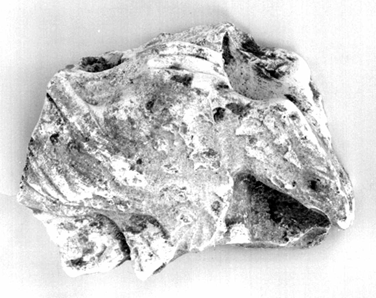 rilievo, frammento - manifattura fiorentina (secc. XIX/ XX)