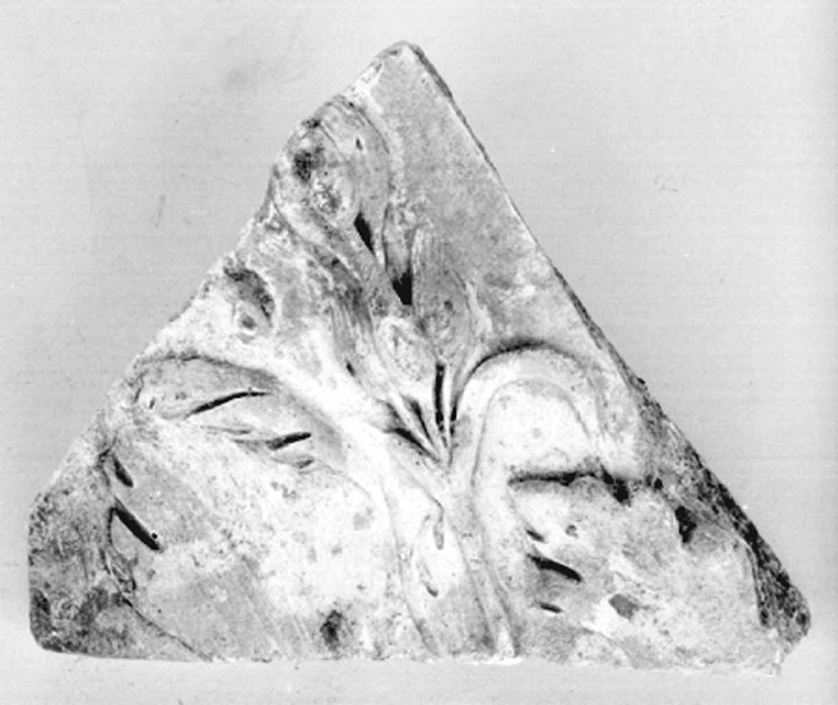 motivi decorativi vegetali (rilievo, frammento) - ambito fiorentino (secc. XIX/ XX)