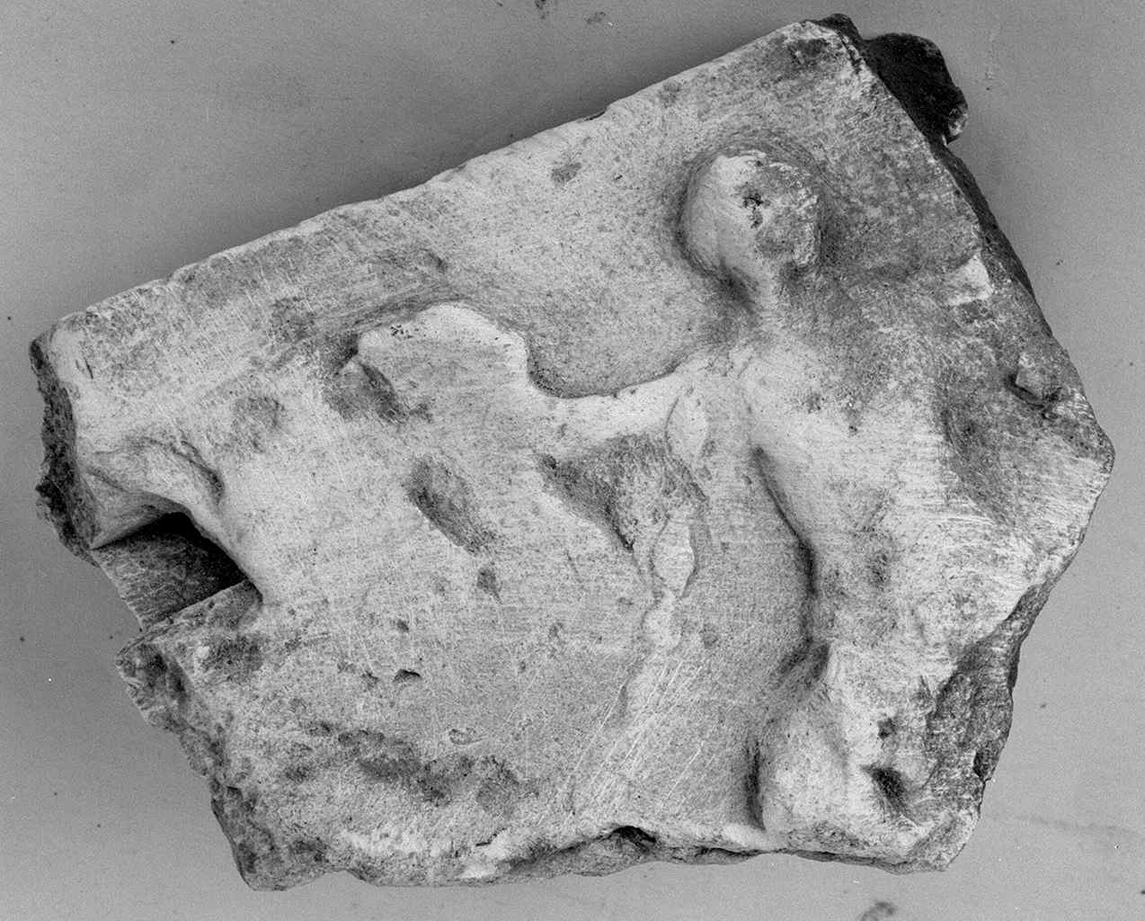 motivo decorativo con erme e mascheroni (rilievo, frammento) - ambito fiorentino (secc. XIX/ XX)