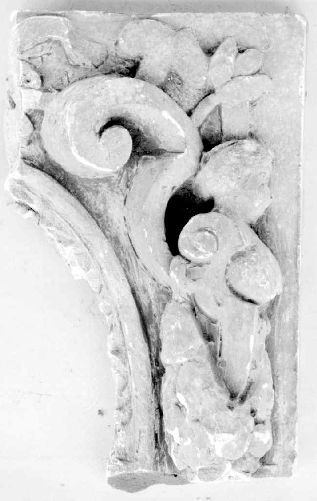 motivi decorativi (rilievo, frammento) - ambito fiorentino (secc. XIX/ XX)