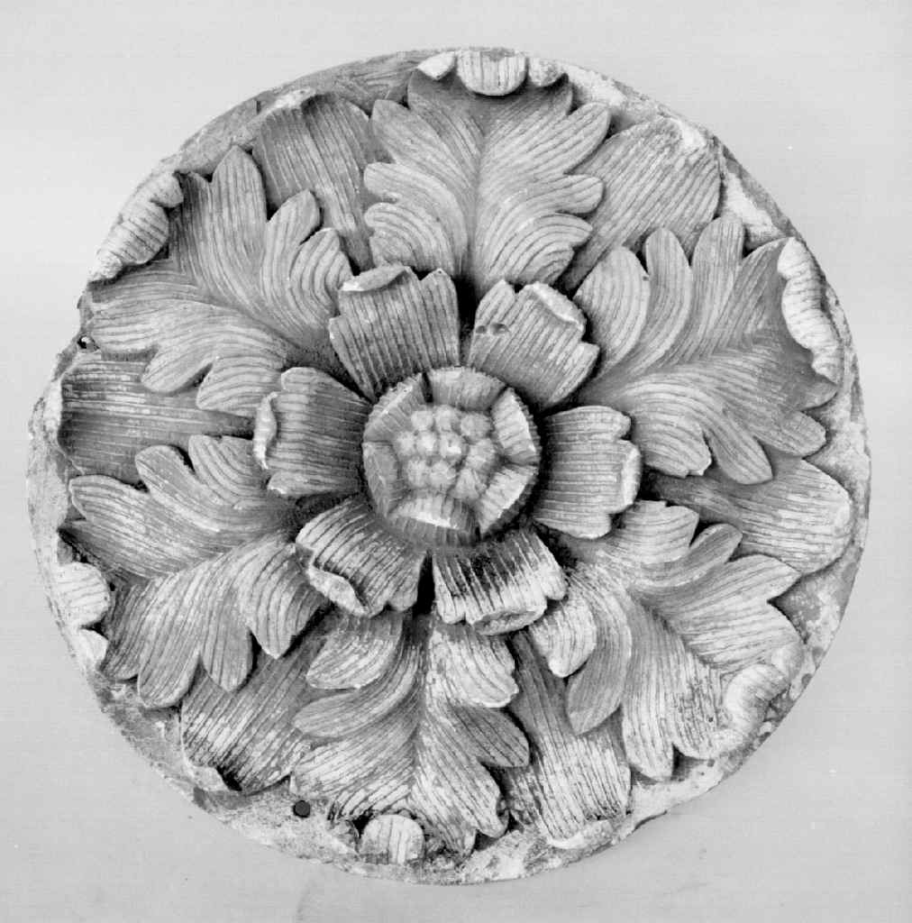 motivi decorativi vegetali e floreali (rilievo) - ambito fiorentino (sec. XIX)