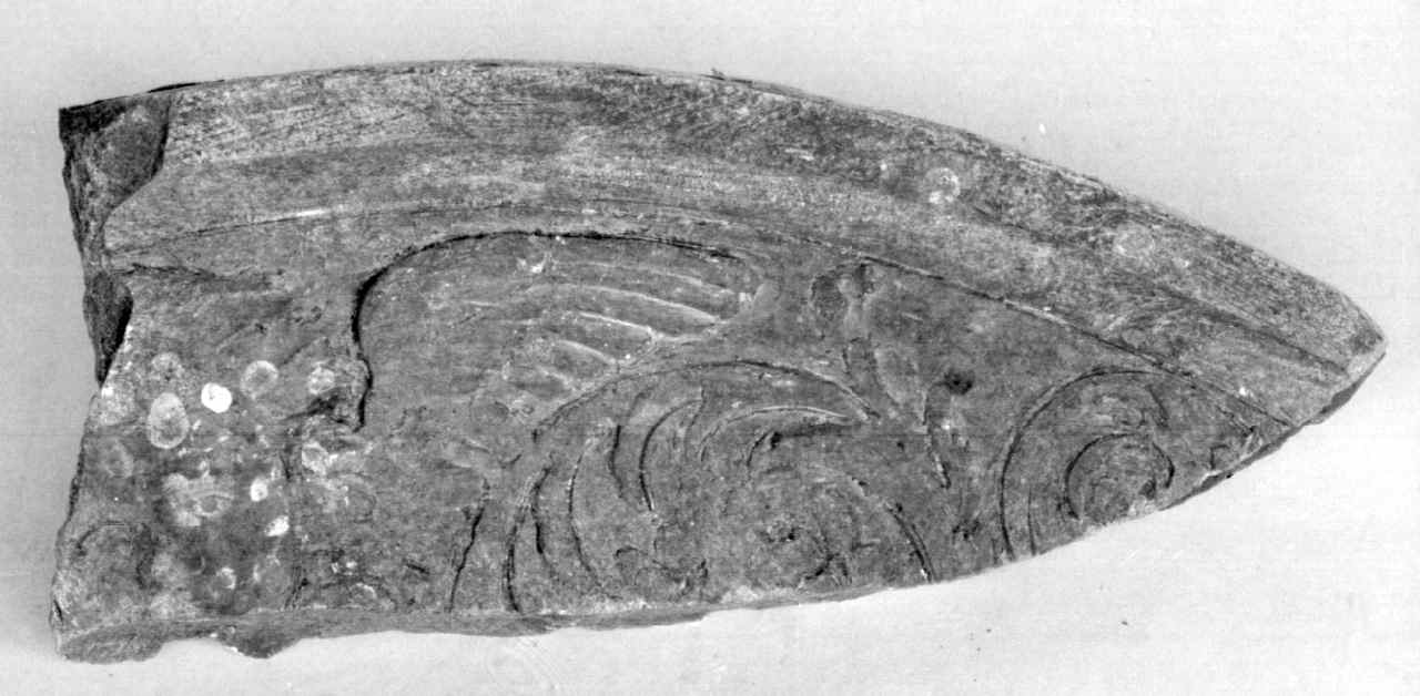 cherubino (rilievo, frammento) - ambito fiorentino (secc. XIX/ XX)