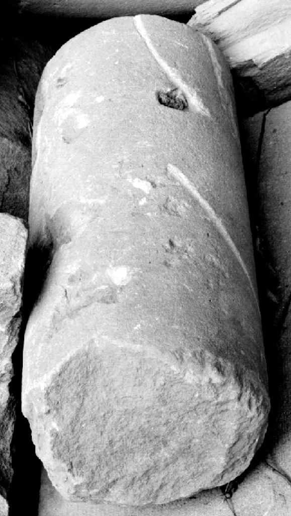 fusto di colonna, serie - produzione toscana (secc. XVI/ XVII)