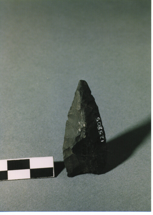 CUSPIDE DI FRECCIA A BASE CONCAVA