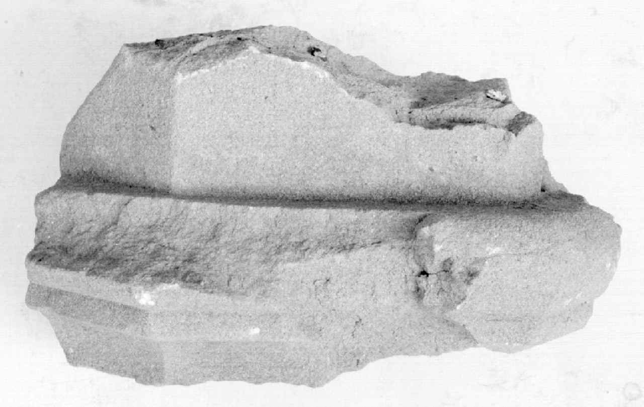 base di pilastro, frammento - produzione toscana (sec. XIV)