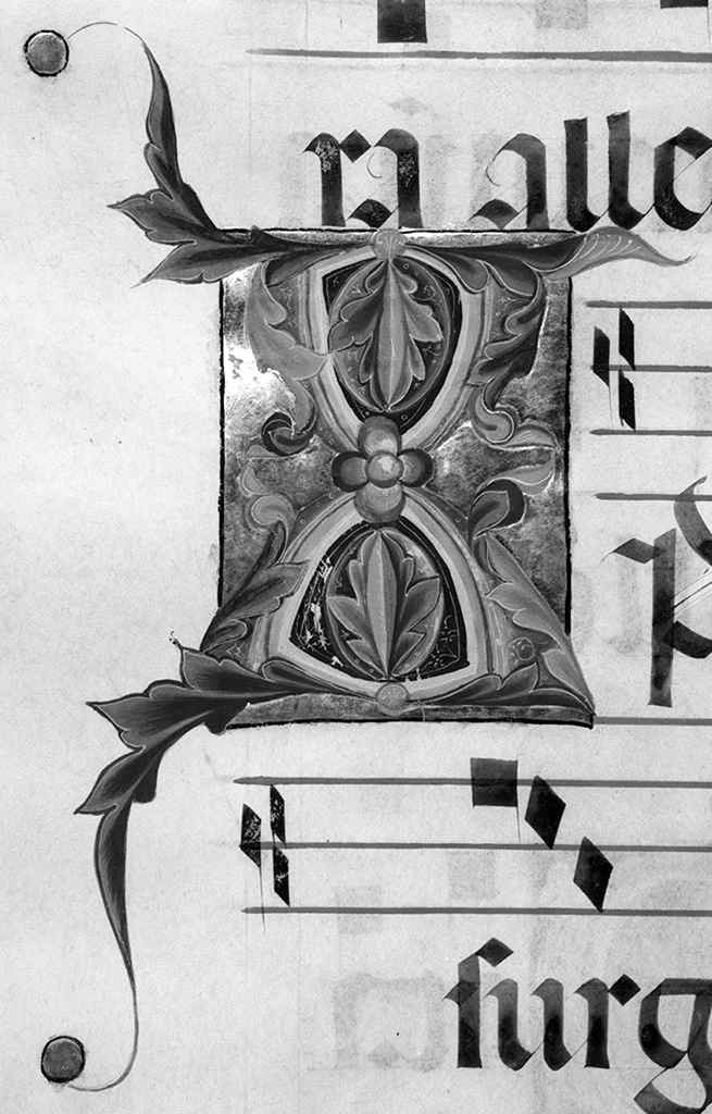 lettera K (miniatura) di Simone Camaldolese (e aiuti) (sec. XIV, sec. XIV)