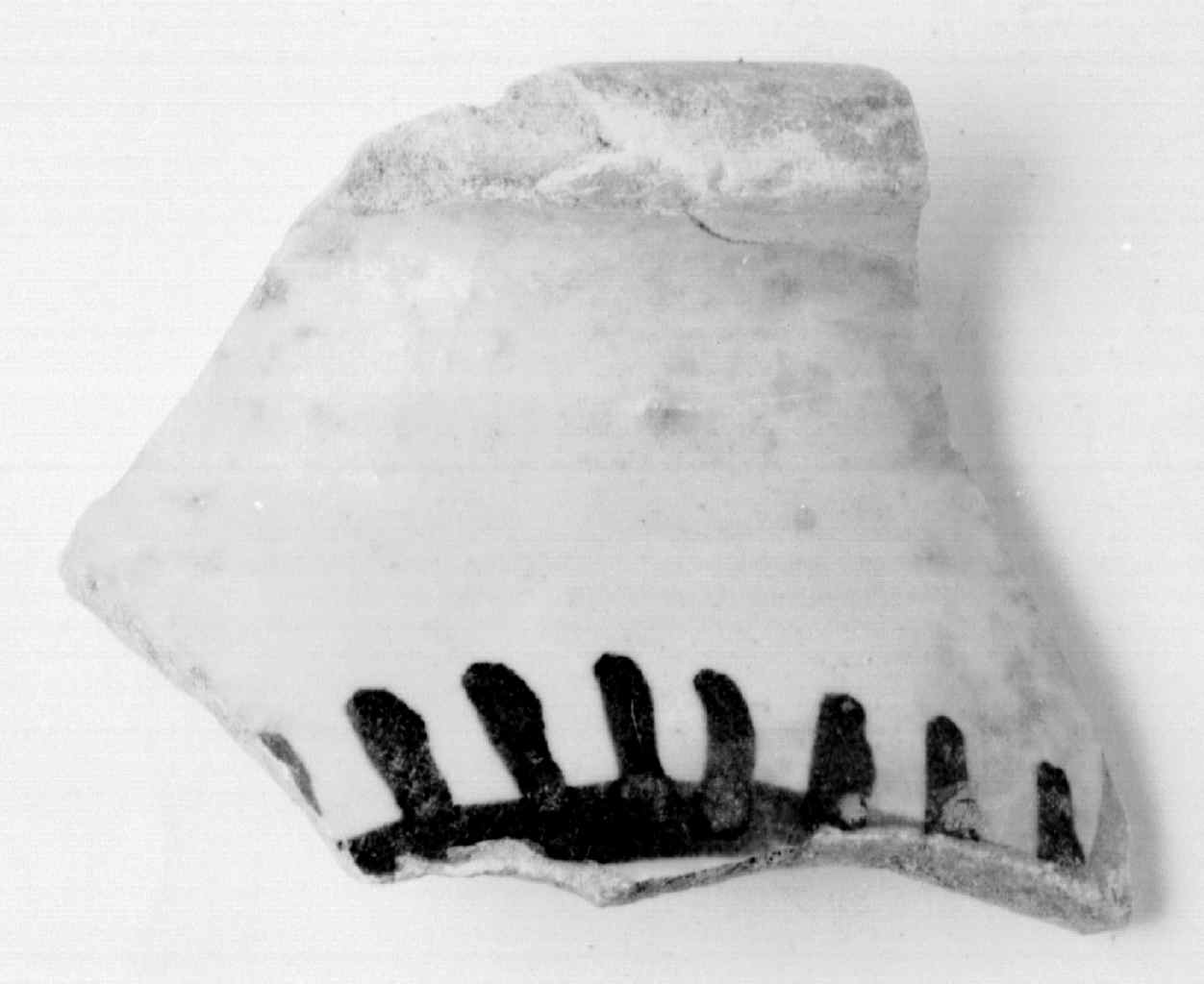 brocca, frammento - manifattura Italia centrale (sec. XVII)