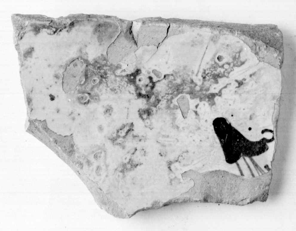 piatto, frammento - manifattura toscana (sec. XVI)