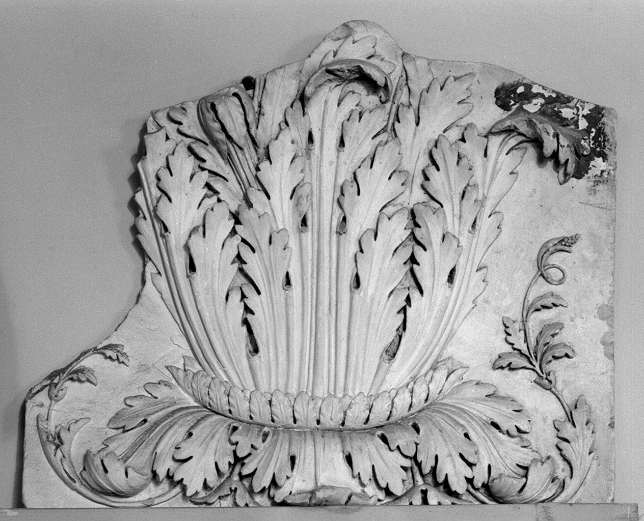 motivi decorativi a foglie d'acanto (rilievo) - bottega toscana (seconda metà sec. XIX)