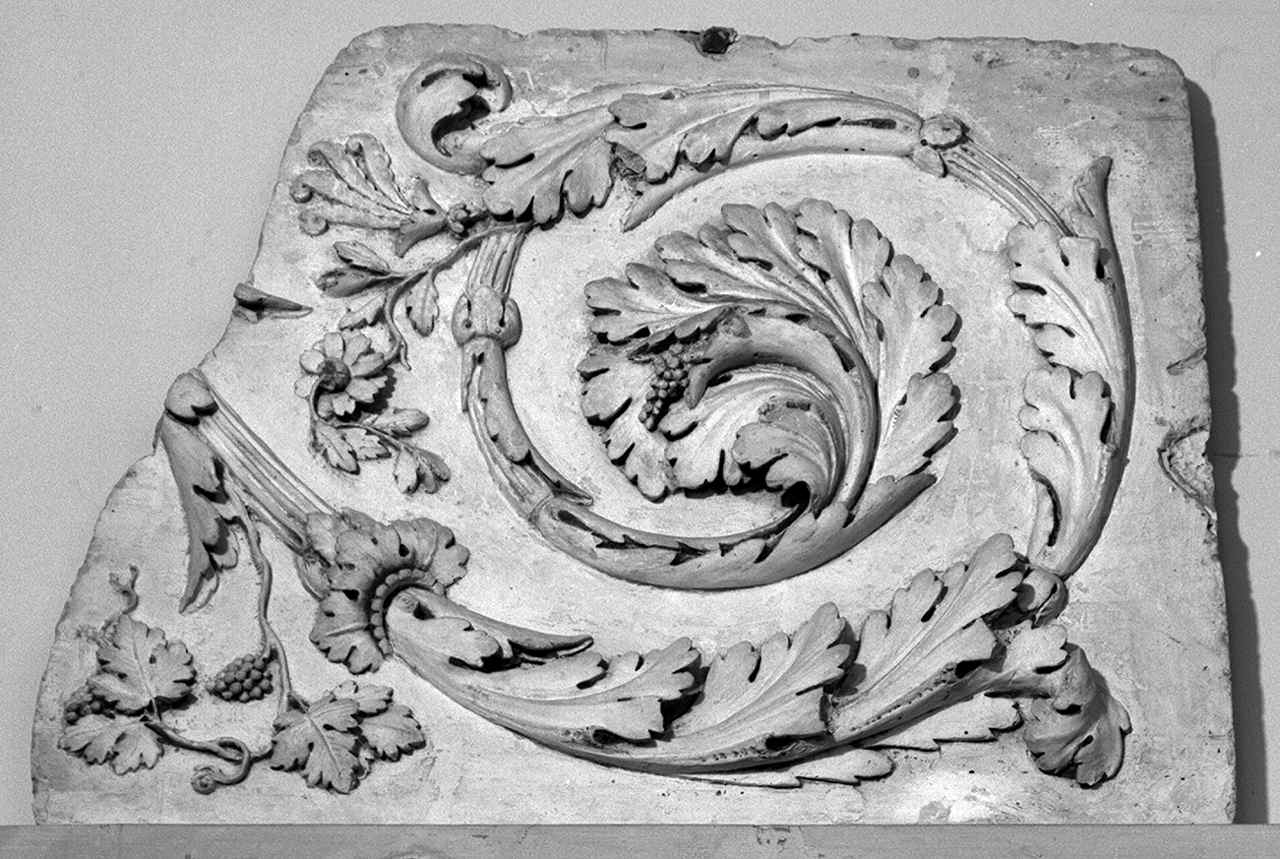 motivi decorativi a foglie d'acanto (lastra, serie) - produzione toscana (seconda metà sec. XIX)