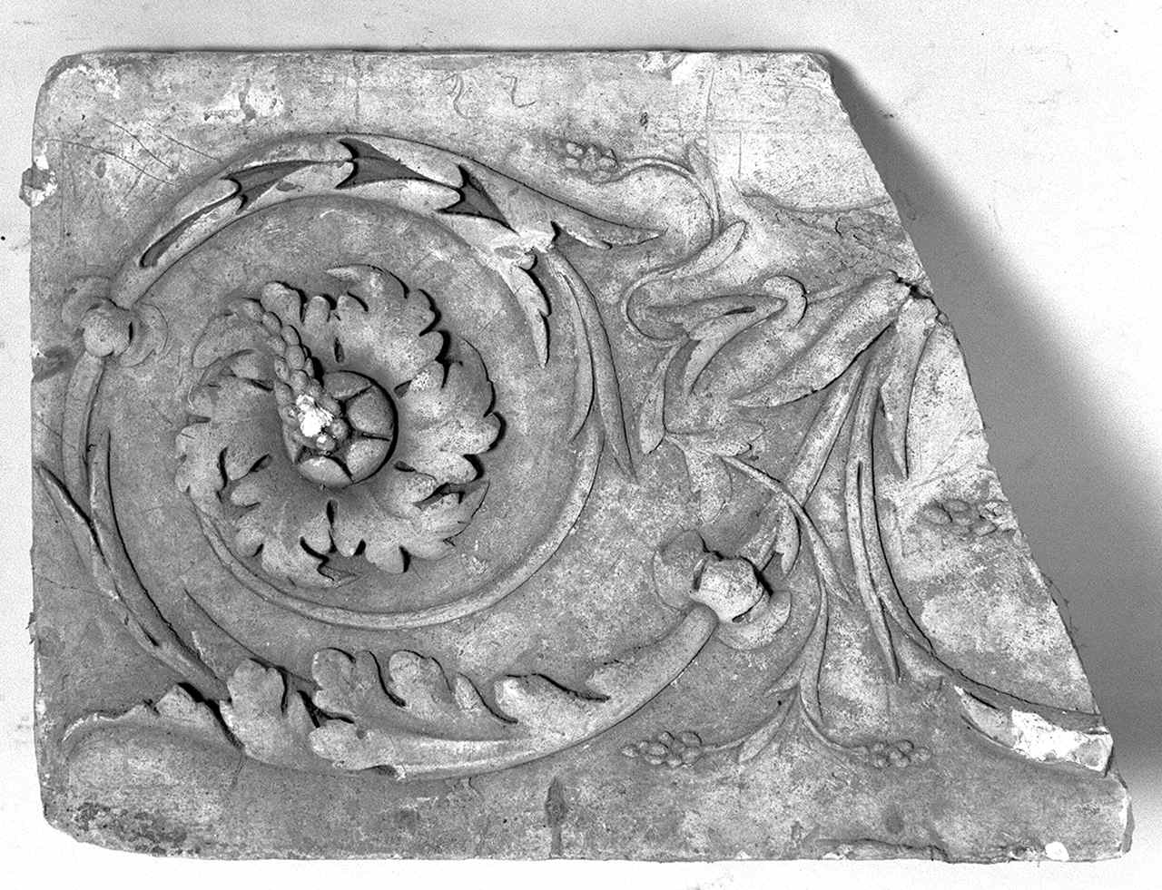 motivi decorativi a girali (rilievo) - bottega toscana (prima metà sec. XIX)