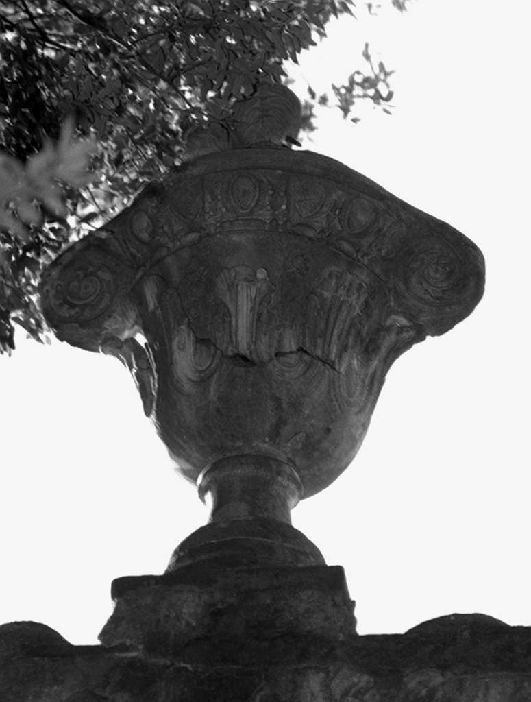 motivi decorativi a girali (vaso) - produzione toscana (sec. XVII)