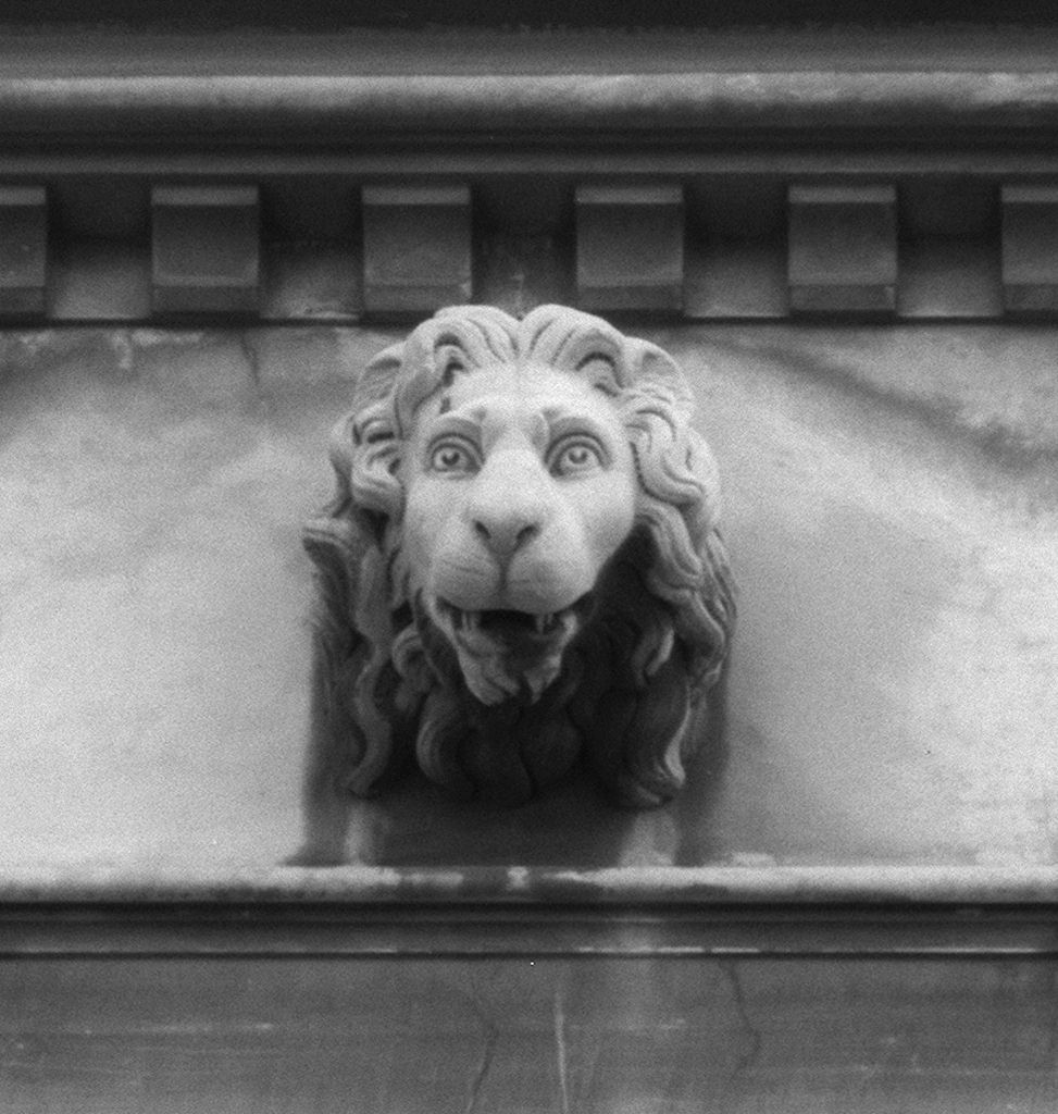 testa di leone (scultura, serie) di Matas Niccolò (sec. XIX)