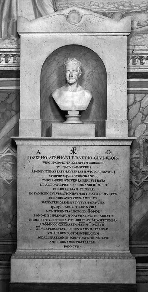 busto ritratto di Giuseppe Stefano Raddi (monumento funebre) di Giovannozzi Ottavio (sec. XIX)