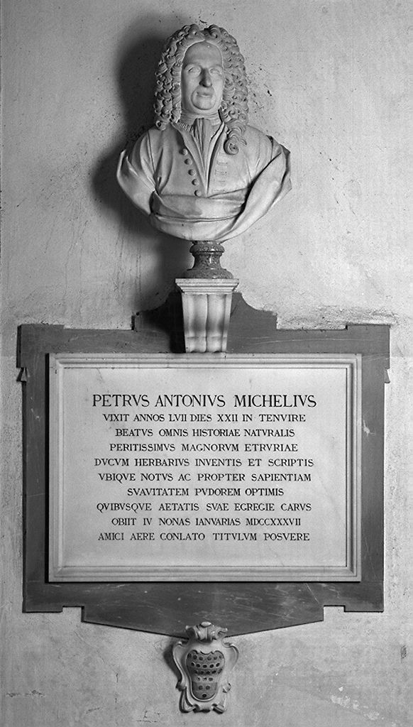 busto ritratto di Pietro Antonio Micheli (monumento funebre) di Ticciati Girolamo, Socci Carlo (sec. XVIII)